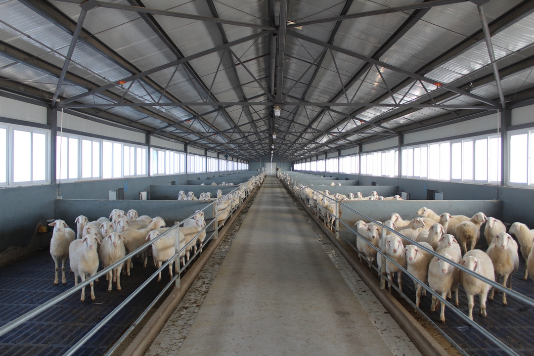 當(dāng)好產(chǎn)業(yè)扶貧主力軍，打贏脫貧攻堅(jiān)戰(zhàn)